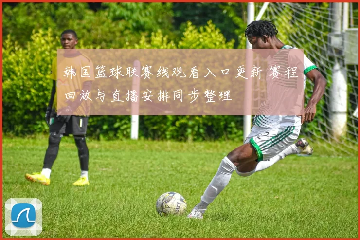 韩国篮球联赛线观看入口更新 赛程回放与直播安排同步整理