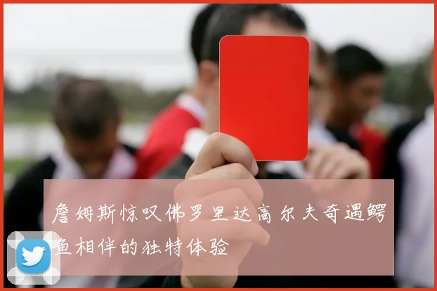 詹姆斯惊叹佛罗里达高尔夫奇遇鳄鱼相伴的独特体验